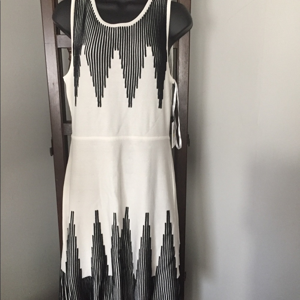 BlkWht Calvin Klein Sweater Dress